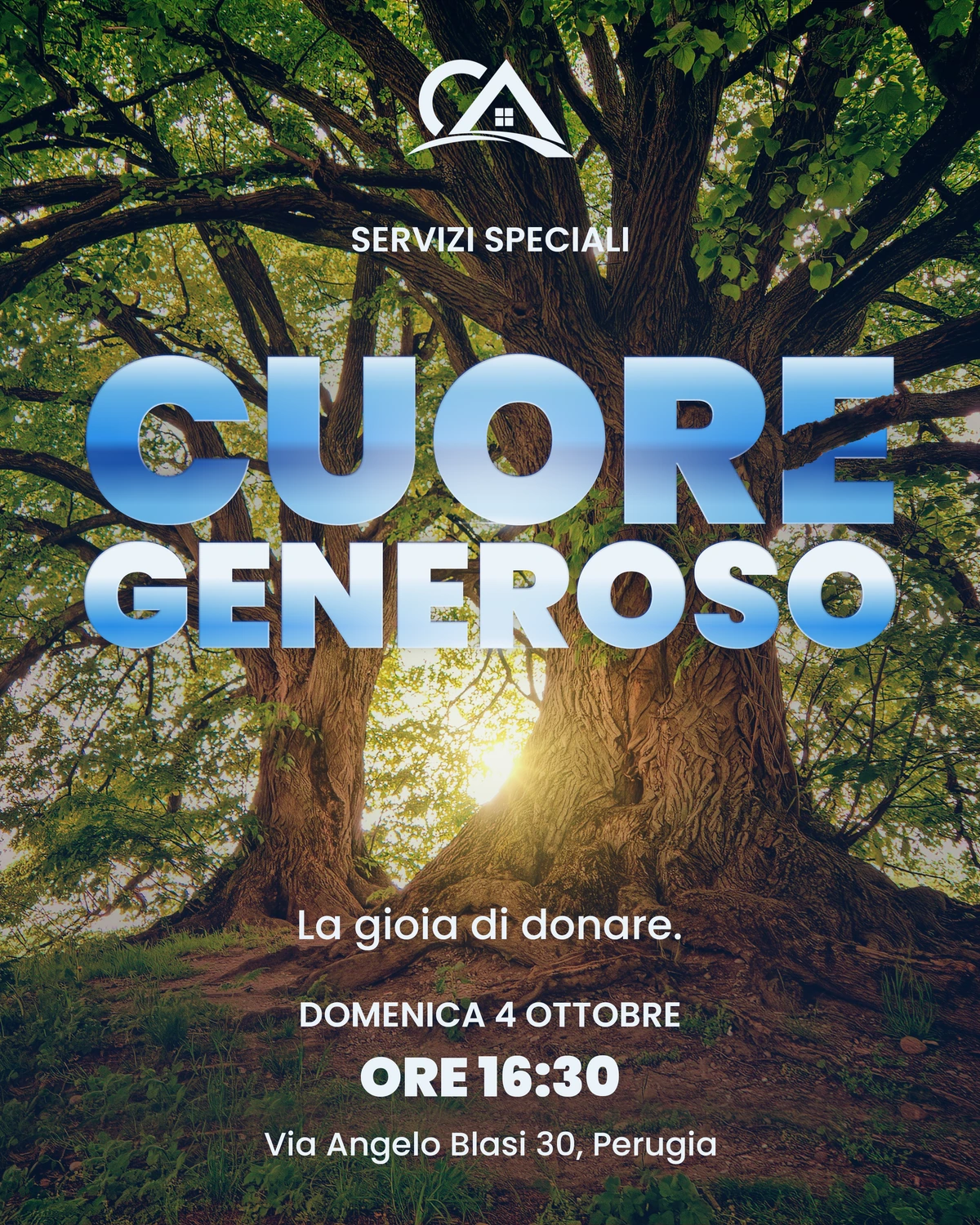 Cuore generoso: un albero illuminato dal sole, con il titolo intrecciato ai rami